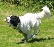Bild von Nero