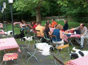 Bild vom Landseertreffen