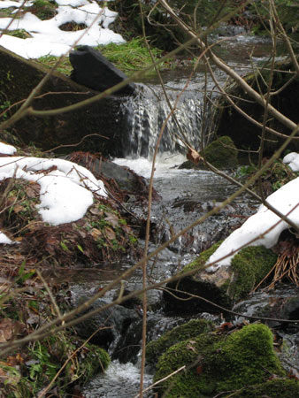 Bachlauf