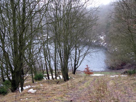 Kalbesee