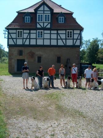 Mühle