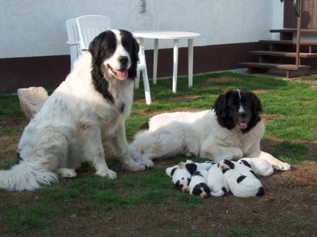 Die glückliche Familie