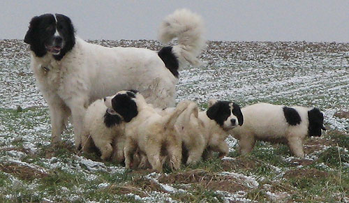Familienbild