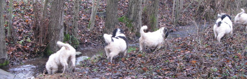 Familienbild