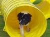 hundebox_tunnel_02 hundebox_tunnel_02