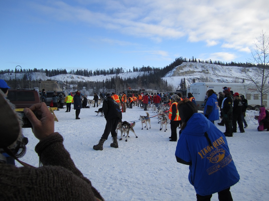 Start des Yukon Quest 2011